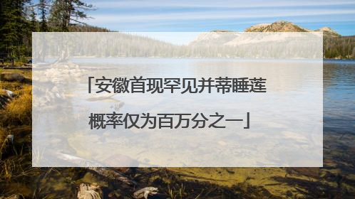 安徽首现罕见并蒂睡莲 概率仅为百万分之一