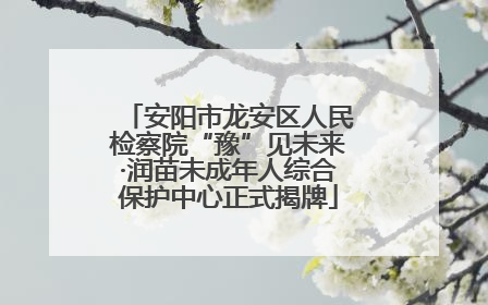 安阳市龙安区人民检察院“豫”见未来·润苗未成年人综合保护中心正式揭牌