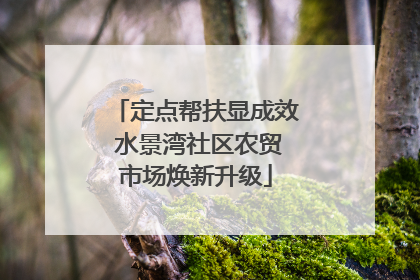 定点帮扶显成效 水景湾社区农贸市场焕新升级