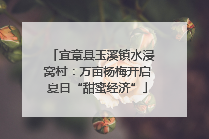 宜章县玉溪镇水浸窝村：万亩杨梅开启夏日“甜蜜经济”