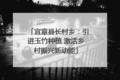 宜章县长村乡：引进玉竹种植 激活乡村振兴新动能