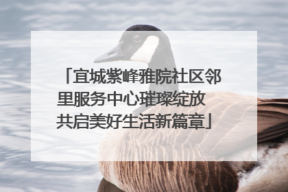 宜城紫峰雅院社区邻里服务中心璀璨绽放 共启美好生活新篇章