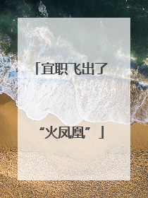 宜职飞出了“火凤凰”
