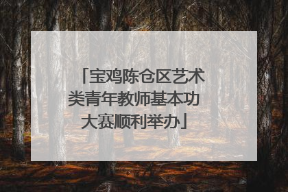 宝鸡陈仓区艺术类青年教师基本功大赛顺利举办