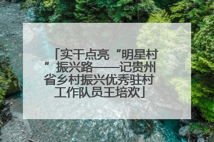 实干点亮“明星村”振兴路——记贵州省乡村振兴优秀驻村工作队员王培欢