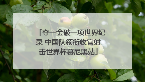 夺一金破一项世界纪录 中国队领衔收官射击世界杯慕尼黑站