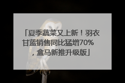 夏季蔬菜又上新！羽衣甘蓝销售同比猛增70%，盒马新推升级版