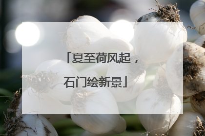 夏至荷风起，石门绘新景