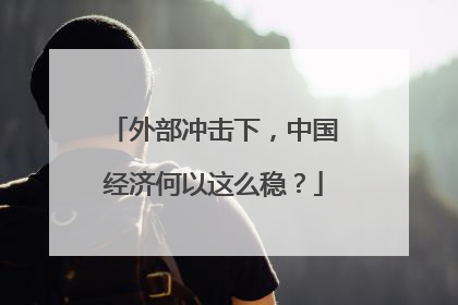 外部冲击下，中国经济何以这么稳？