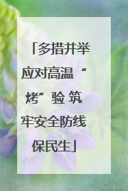 多措并举应对高温“烤”验 筑牢安全防线保民生