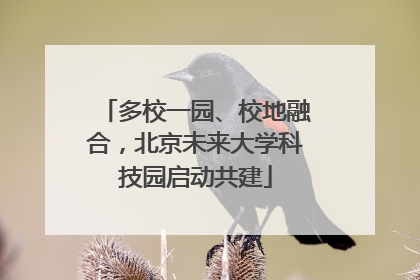 多校一园、校地融合，北京未来大学科技园启动共建