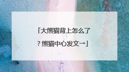 大熊猫背上怎么了？熊猫中心发文→