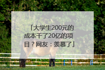 大学生200元的成本干了20亿的项目？网友：羡慕了