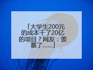 大学生200元的成本干了20亿的项目？网友：羡慕了……