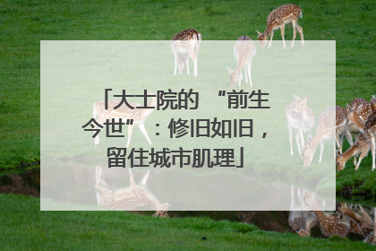 大士院的 “前生今世”：修旧如旧，留住城市肌理