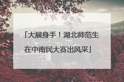 大展身手！湖北师范生在中南民大赛出风采
