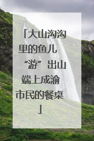 大山沟沟里的鱼儿 “游”出山 端上成渝市民的餐桌