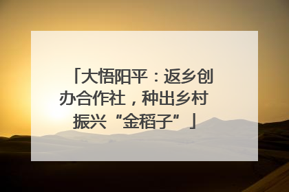 大悟阳平：返乡创办合作社，种出乡村振兴“金稻子”