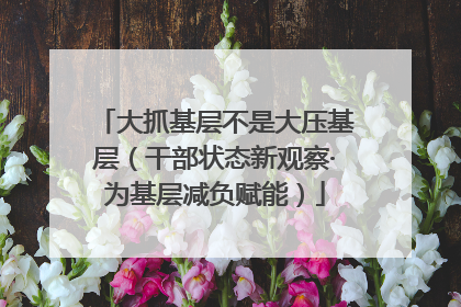 大抓基层不是大压基层（干部状态新观察·为基层减负赋能）