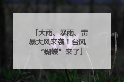 大雨、暴雨、雷暴大风来袭！台风“蝴蝶”来了