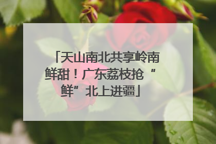 天山南北共享岭南鲜甜！广东荔枝抢“鲜”北上进疆