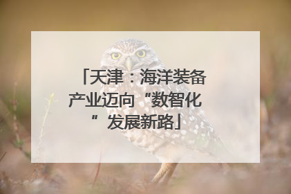 天津：海洋装备产业迈向“数智化”发展新路