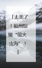 太美了！福州惊现“萤火虫海”！
