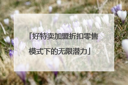 好特卖加盟折扣零售模式下的无限潜力