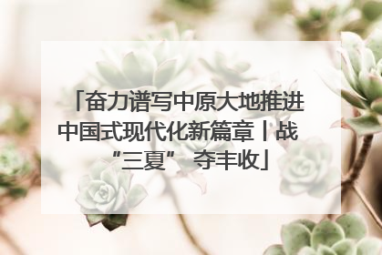 奋力谱写中原大地推进中国式现代化新篇章丨战“三夏” 夺丰收