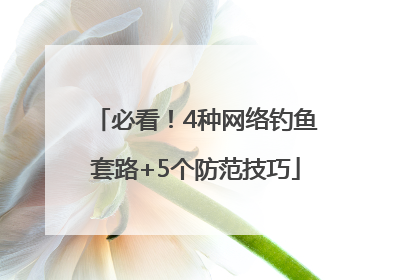 必看！4种网络钓鱼套路+5个防范技巧