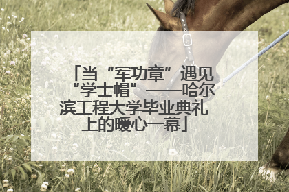 当“军功章”遇见“学士帽”——哈尔滨工程大学毕业典礼上的暖心一幕