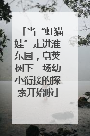 当“虹猫娃”走进淮东园，皂荚树下一场幼小衔接的探索开始啦