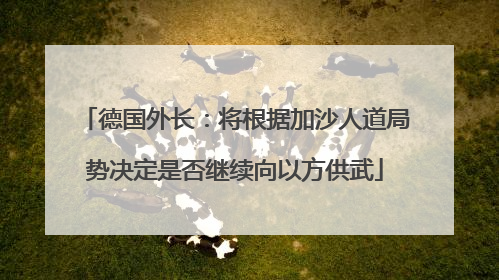 德国外长：将根据加沙人道局势决定是否继续向以方供武