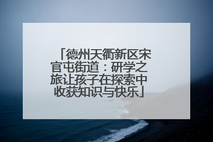 德州天衢新区宋官屯街道：研学之旅让孩子在探索中收获知识与快乐