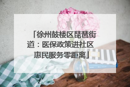 徐州鼓楼区琵琶街道：医保政策进社区 惠民服务零距离