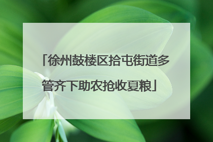 徐州鼓楼区拾屯街道多管齐下助农抢收夏粮