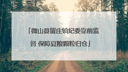 微山县留庄镇纪委靠前监督 保障夏粮颗粒归仓