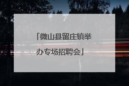 微山县留庄镇举办专场招聘会