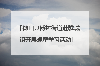 微山县傅村街道赴驩城镇开展观摩学习活动