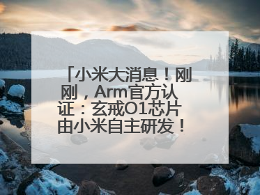 小米大消息！刚刚，Arm官方认证：玄戒O1芯片由小米自主研发！雷军此前称已开始大规模量产