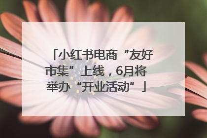 小红书电商“友好市集”上线，6月将举办“开业活动”