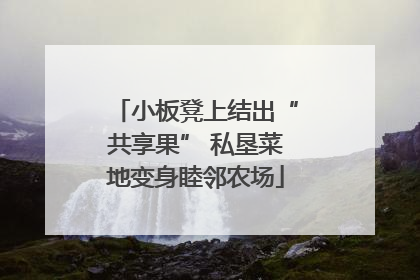小板凳上结出“共享果” 私垦菜地变身睦邻农场