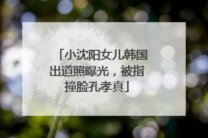 小沈阳女儿韩国出道照曝光，被指撞脸孔孝真
