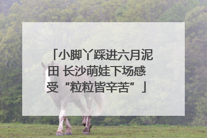 小脚丫踩进六月泥田 长沙萌娃下场感受“粒粒皆辛苦”