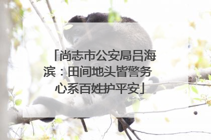 尚志市公安局吕海滨：田间地头皆警务 心系百姓护平安