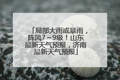 局部大雨或暴雨，阵风7～9级！山东最新天气预报，济南最新天气预报