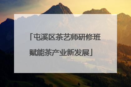 屯溪区茶艺师研修班赋能茶产业新发展