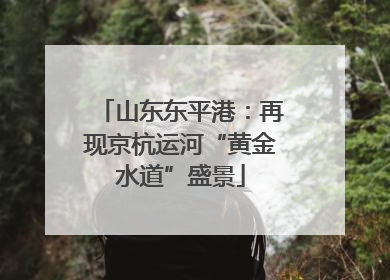 山东东平港：再现京杭运河“黄金水道”盛景