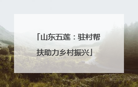 山东五莲：驻村帮扶助力乡村振兴