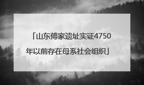 山东傅家遗址实证4750年以前存在母系社会组织